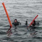 drift diving