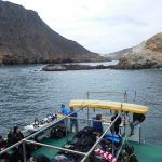 Truth at San Miguel on channel islands dive adventures scuba trips