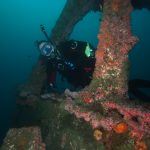 Diving the wreck of the Spirit of America/Peacock on a Channel Islands Dive Adventures trip