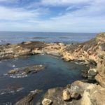 monterey-point-lobos