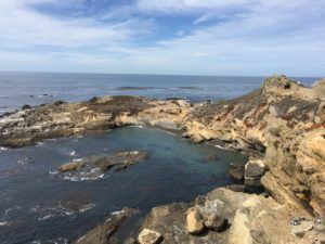 monterey-point-lobos