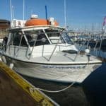 monterey beachhopper dive boat